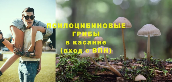 кокс Алзамай
