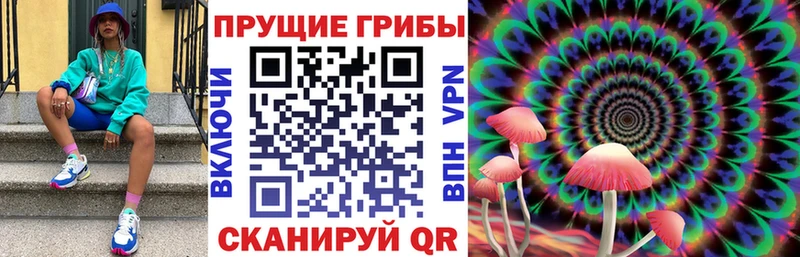 Псилоцибиновые грибы Magic Shrooms  Котлас 