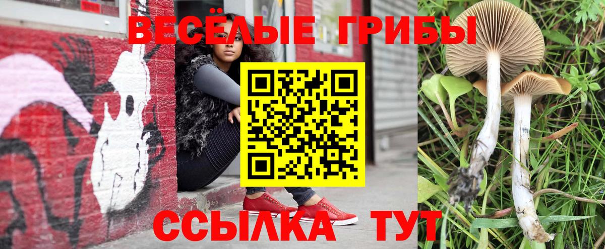 Котлас  Псилоцибиновые грибы ЛСД  Галлюциногенные грибы Cubensis  Вход с VPN 
