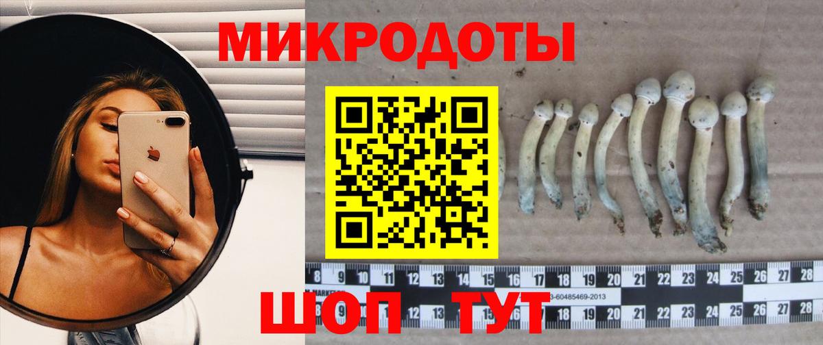 Псилоцибиновые грибы GOLDEN TEACHER Котлас